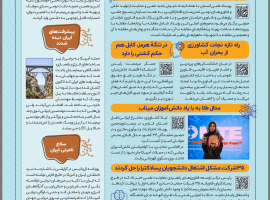 نشریه