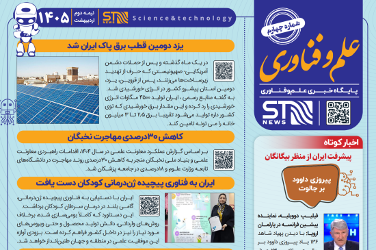 نشریه