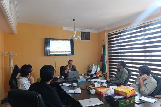 الگوی نوین