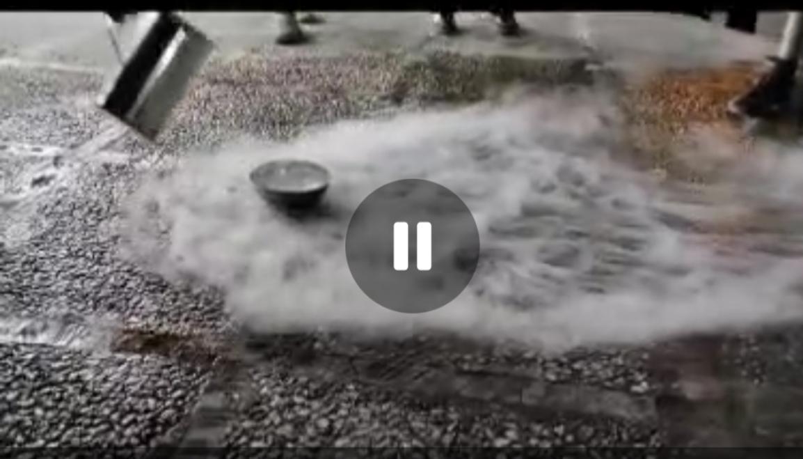 نهضت جانفدا