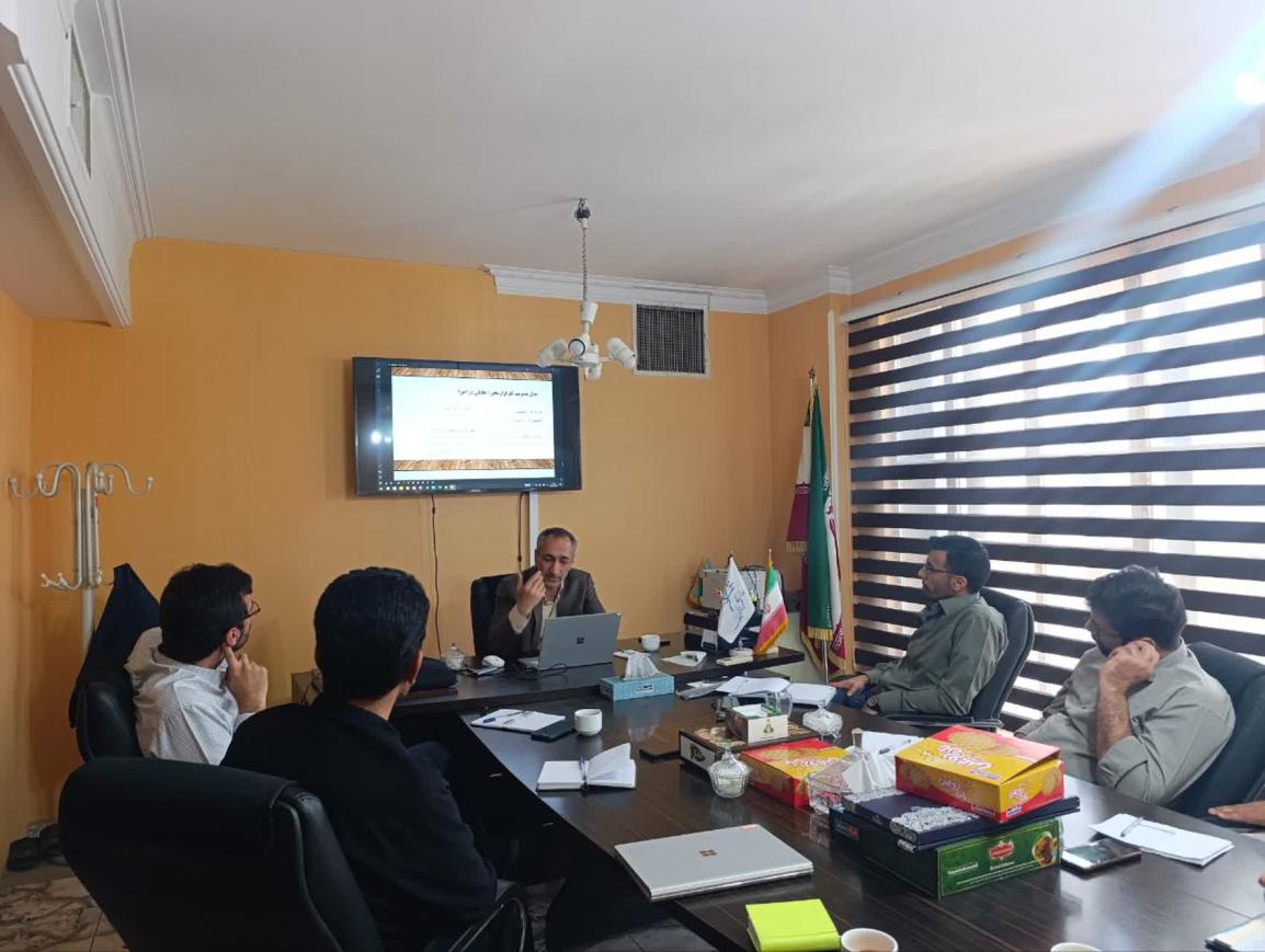 الگوی نوین